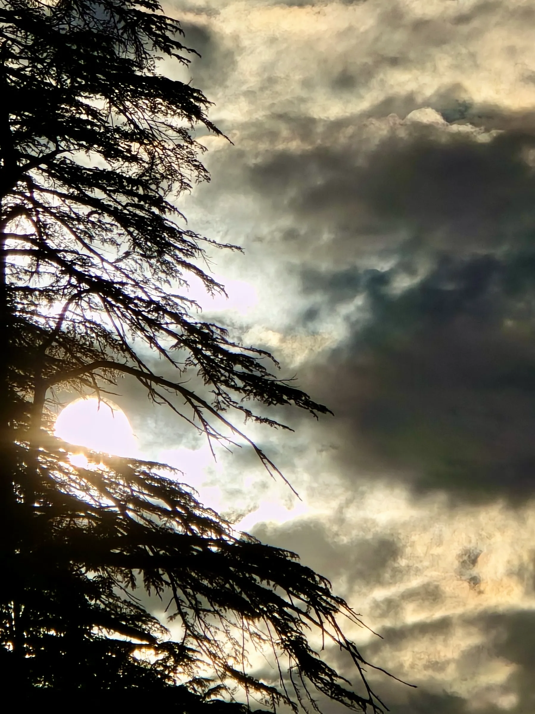 Landscape photo, Grahan Village