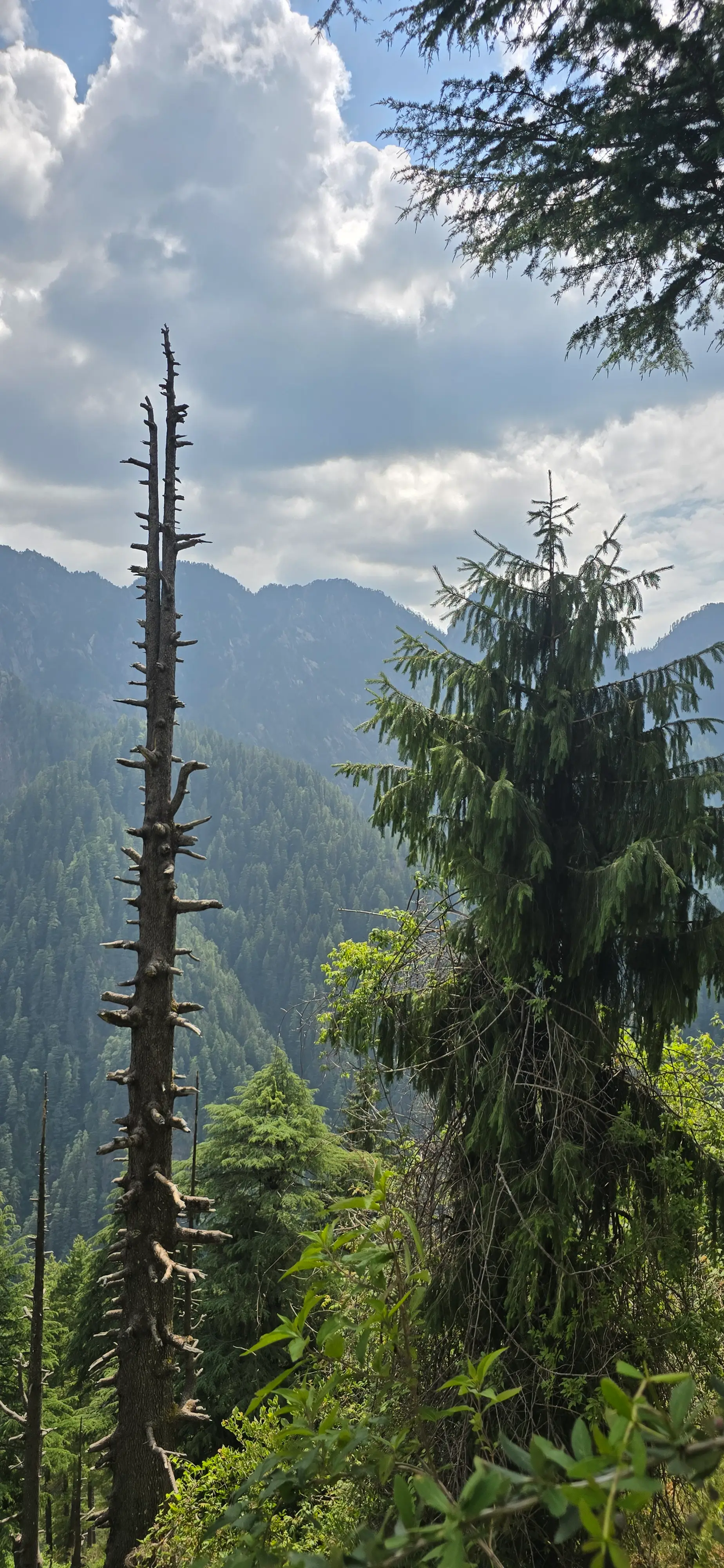 Landscape photo, Grahan Village