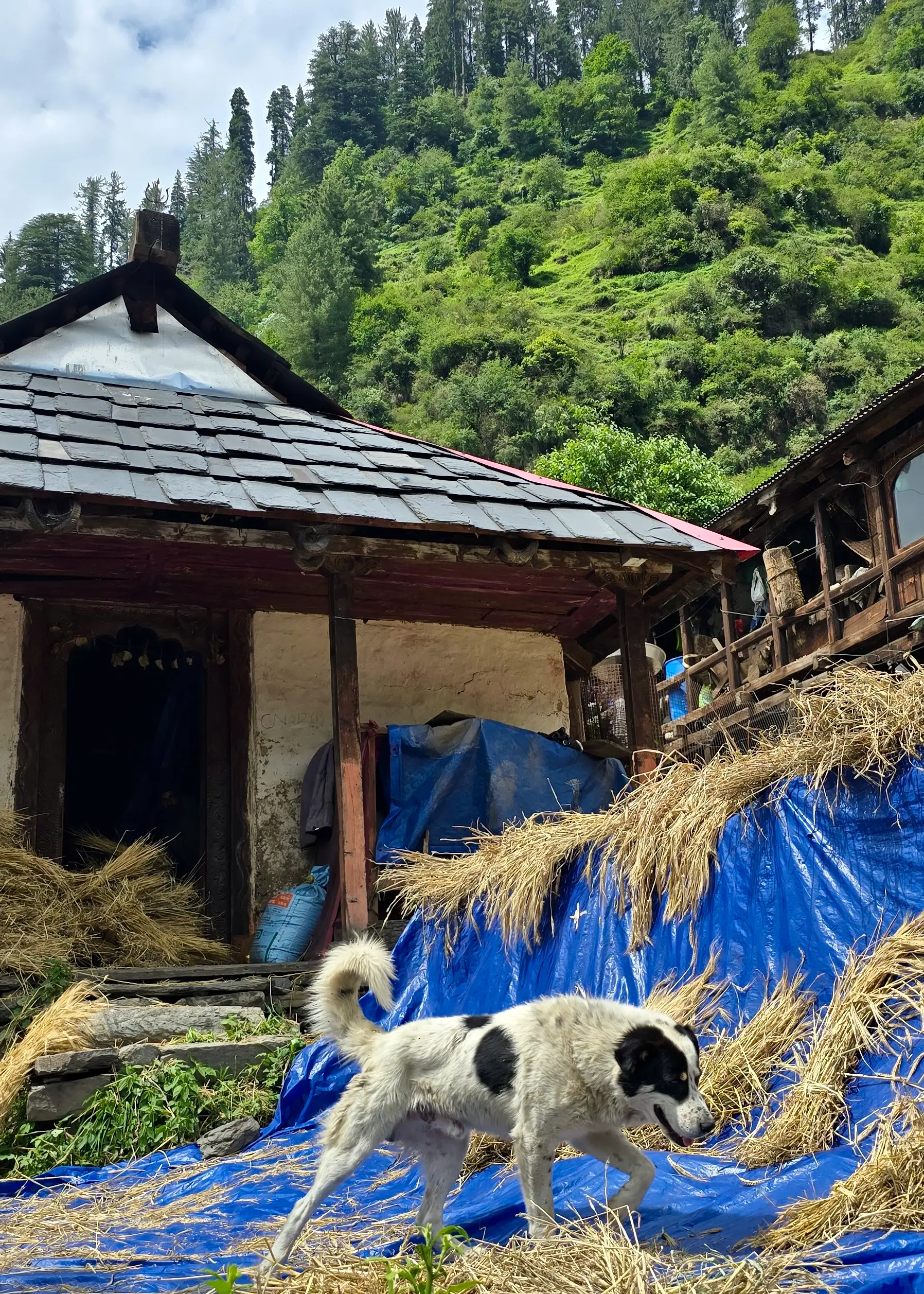 Village photo, Grahan Village