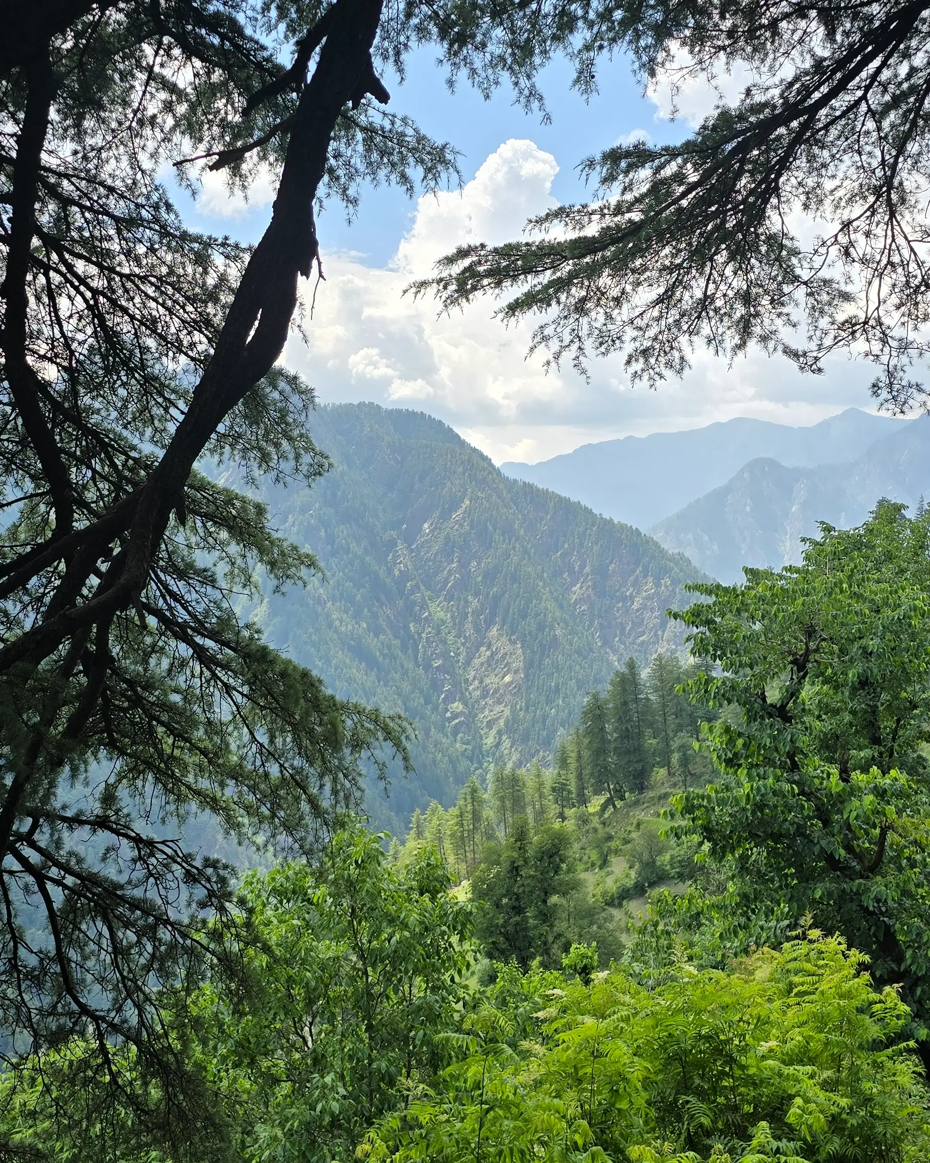 Landscape photo, Grahan Village