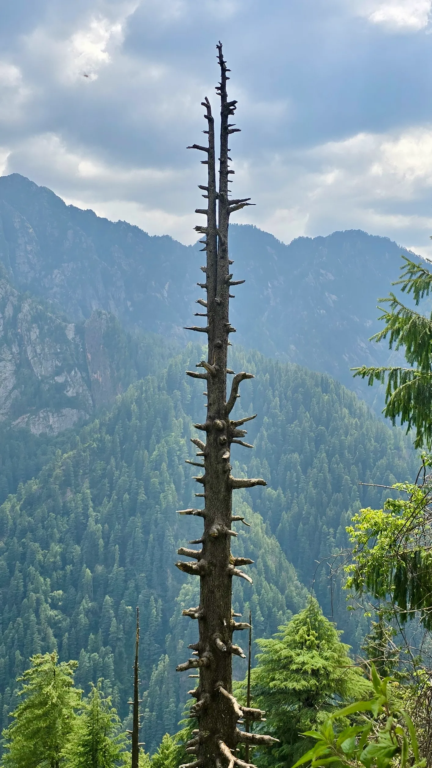 Landscape photo, Grahan Village