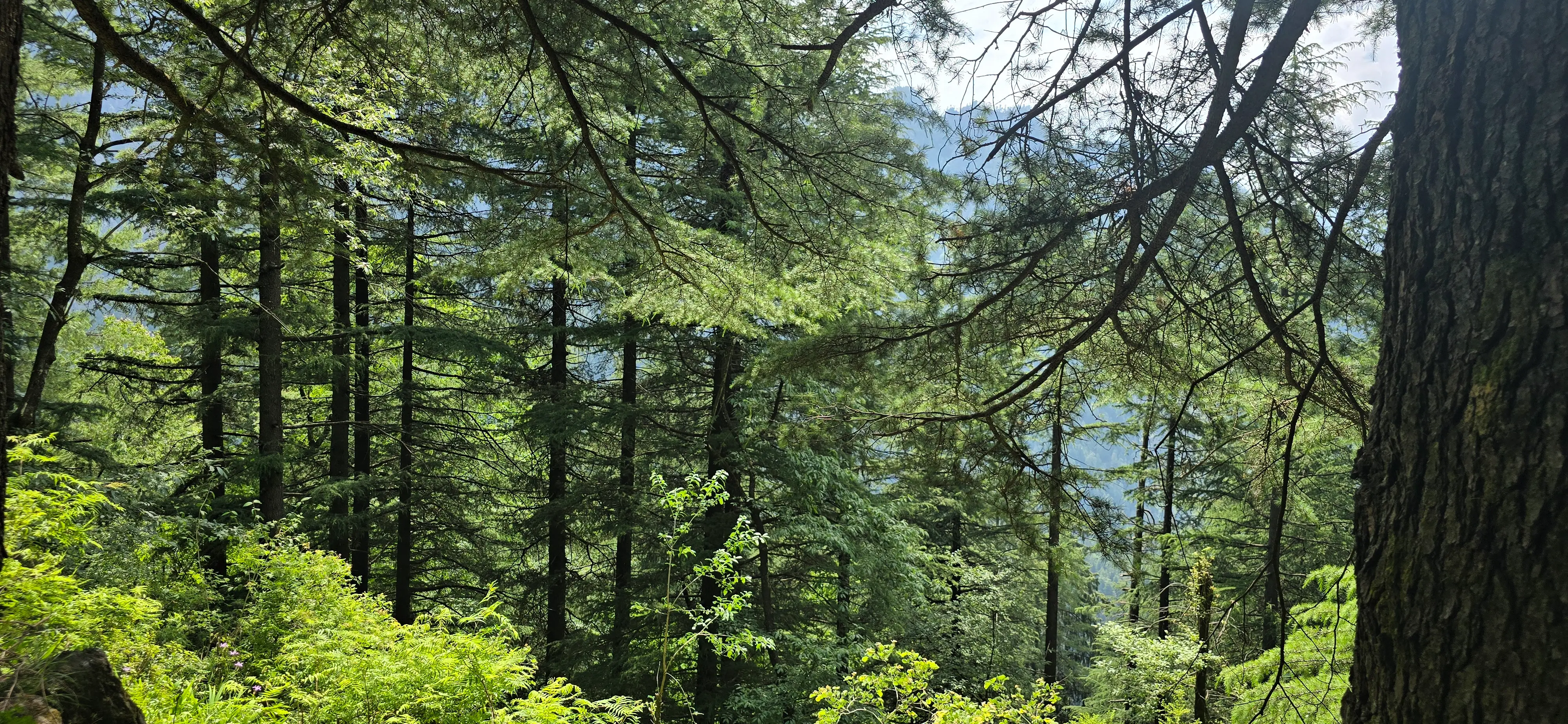 Landscape photo, Grahan Village
