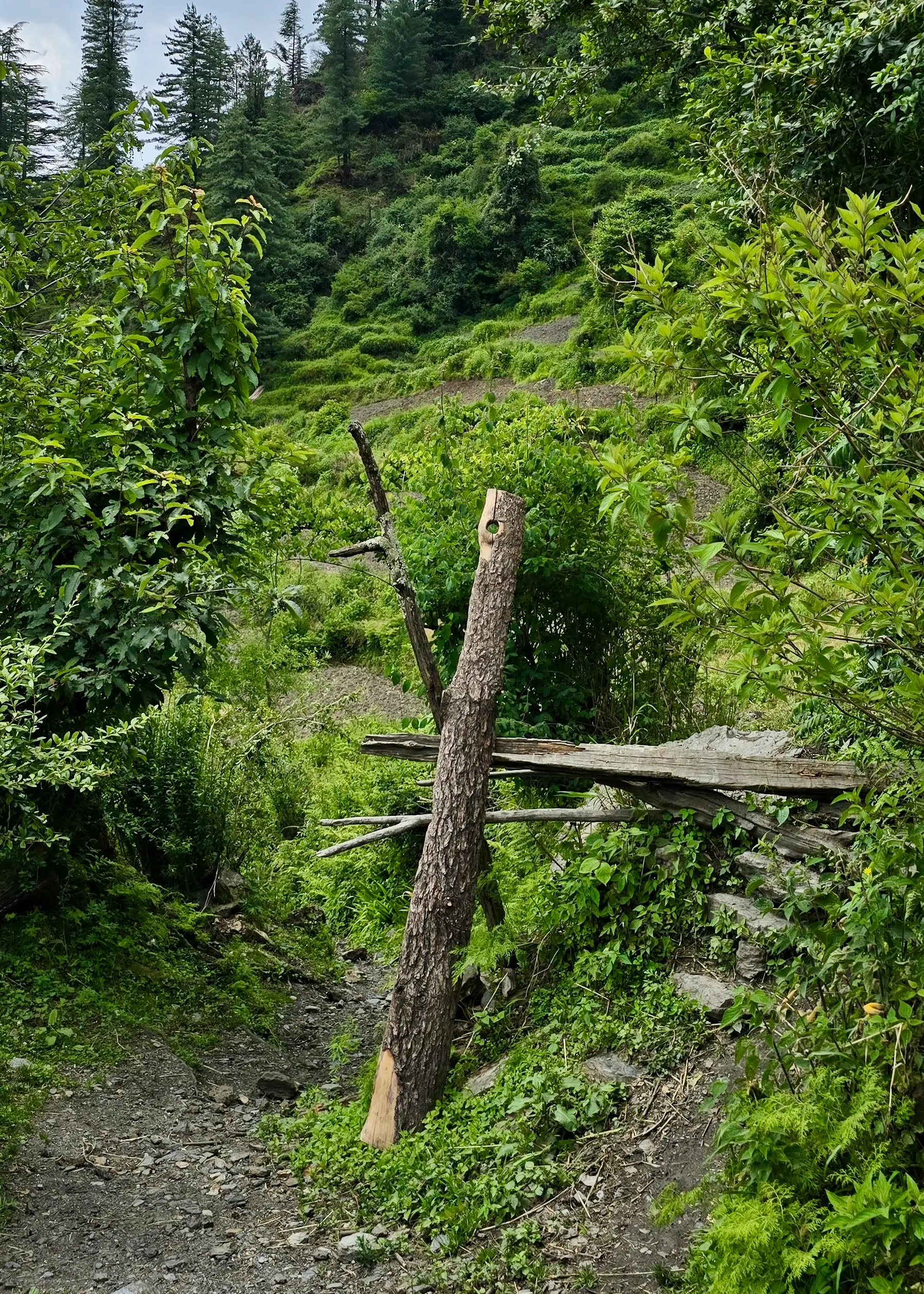 Landscape photo, Grahan Village
